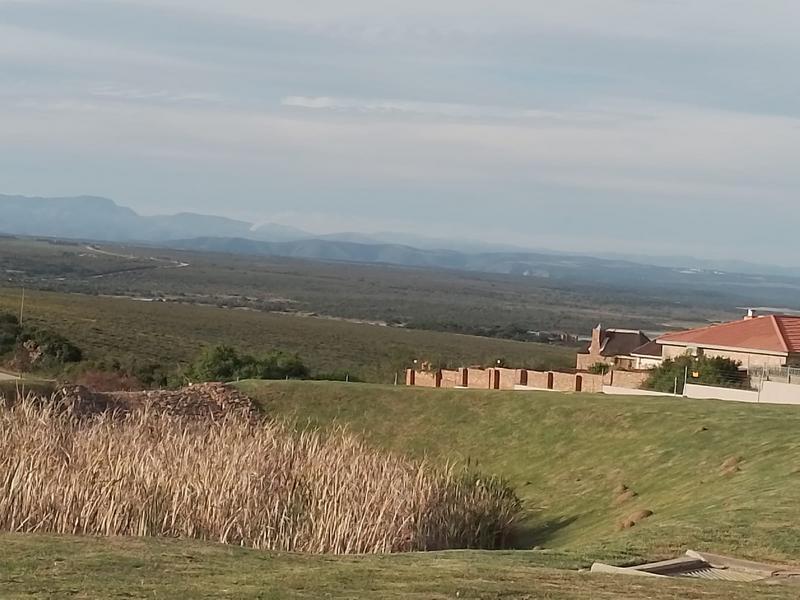 0 Bedroom Property for Sale in Blue Waters Estate Eastern Cape